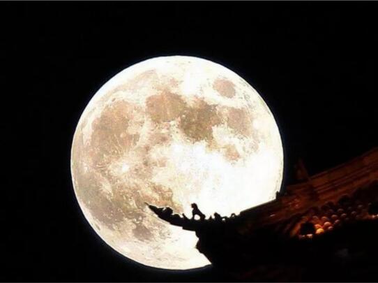 bevictor伟德官网·(中国)唯一官方网站