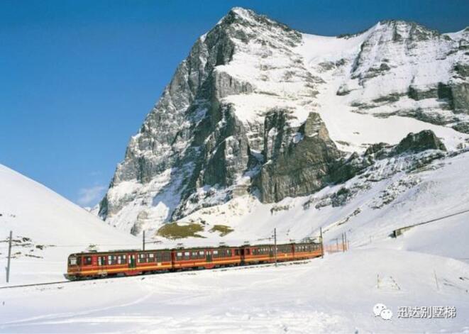 bevictor伟德官网·(中国)唯一官方网站